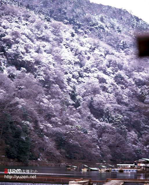 �\�������܂ł��΂炭���҂�������