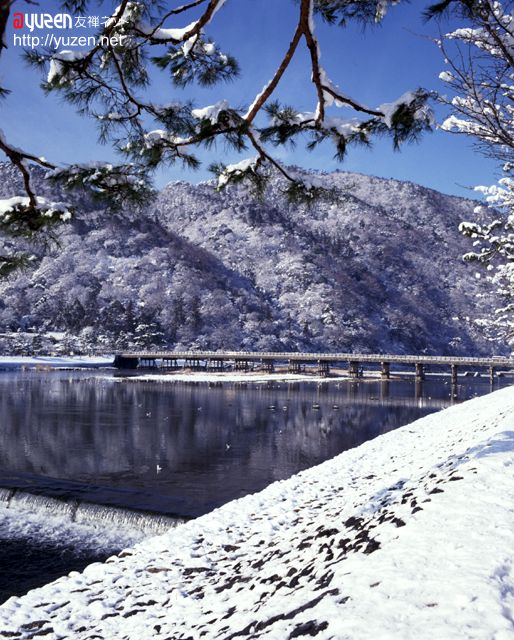 �\�������܂ł��΂炭���҂�������