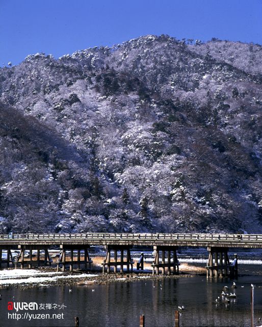 �\�������܂ł��΂炭���҂�������