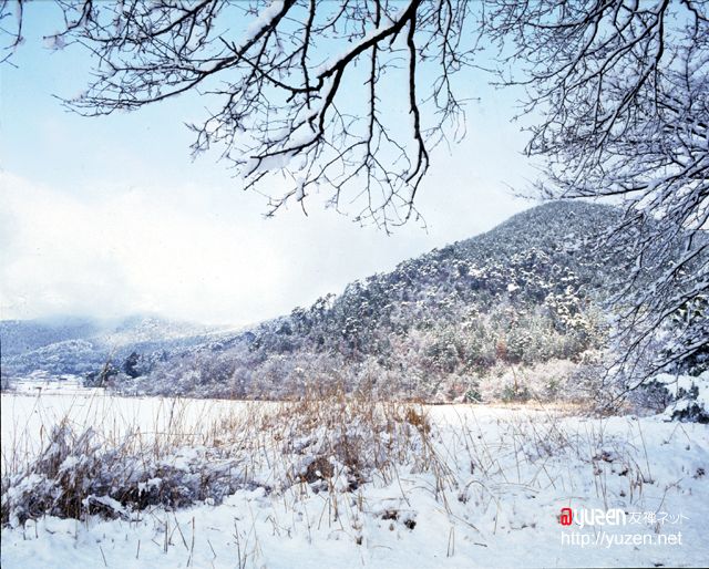 �\�������܂ł��΂炭���҂�������