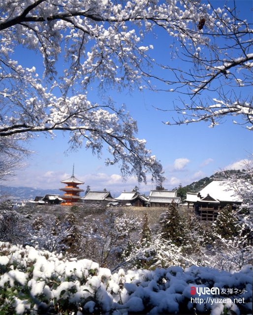 �摜���\�������܂ł��΂炭���҂�������