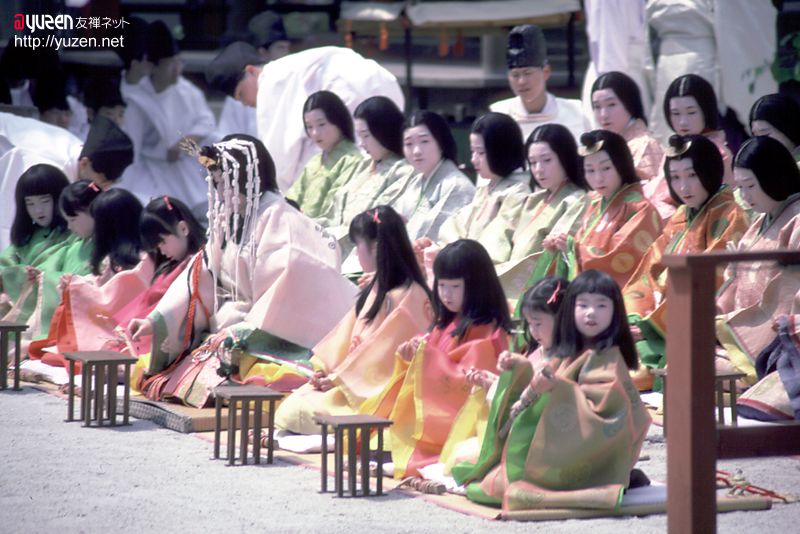 aoi.jpg (86281 �o�C�g)